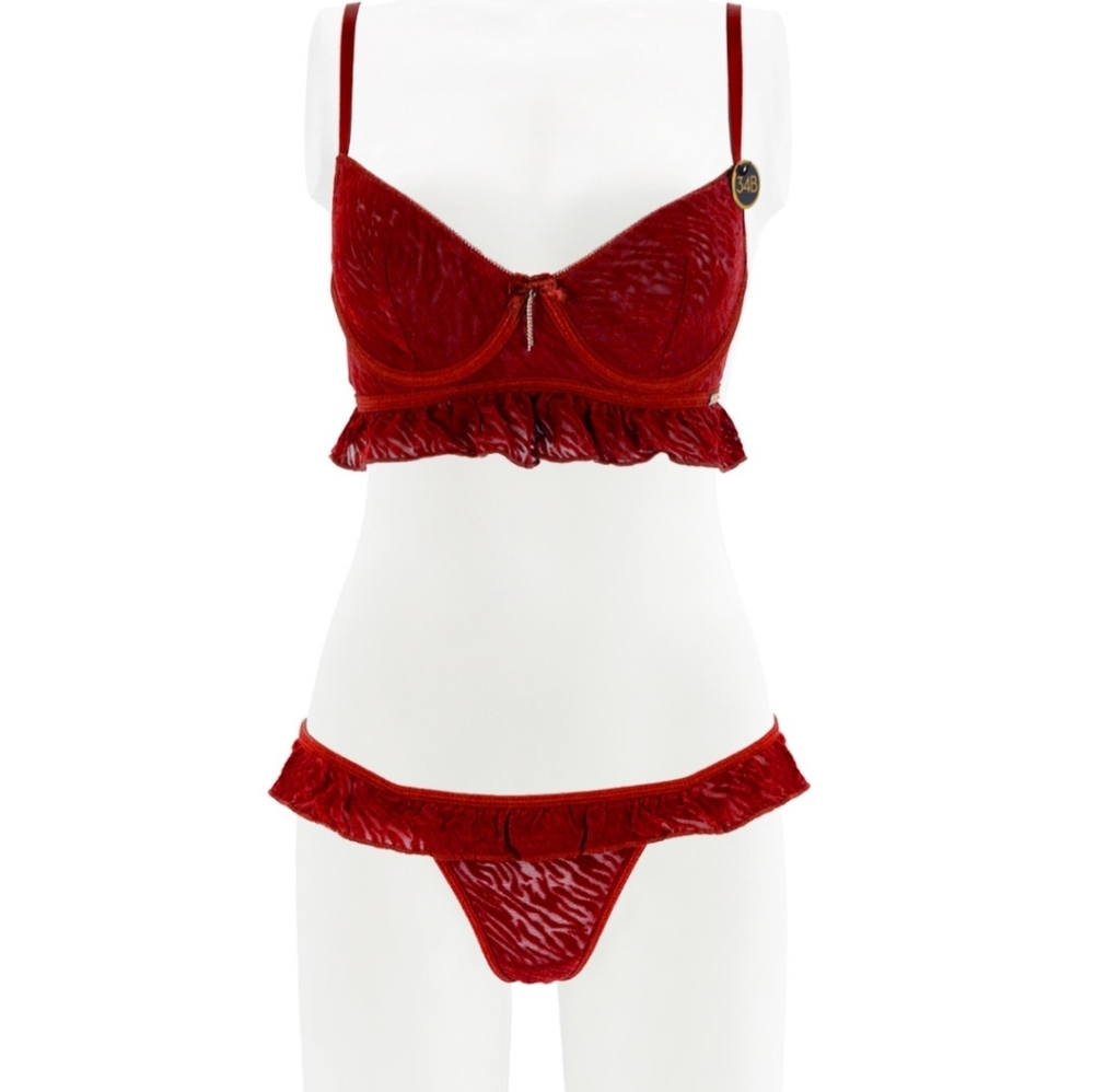 💋RACHEL ROY MESH BRA AND THONG SET SOFT CUP VELVET SIZE 38C/XL